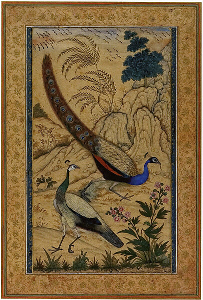 Peafowl, Attributed to Mansur (active ca. 1589–1626), Opaque watercolor on paper, India (Mughal court at Agra) 