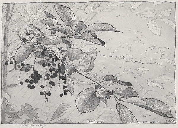 Choke Cherries, Bolton Brown (American, Dresden, New York 1864/65–1936 Woodstock, New York), Lithograph 