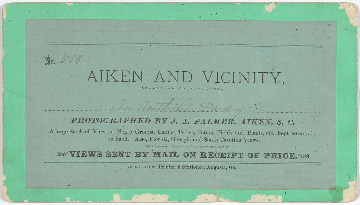 "An Aesthetic Darkey" from the "Aiken and Vicinity" series, James A. Palmer (Irish-American, 1825–1896), Albumen silver print from glass negative, American