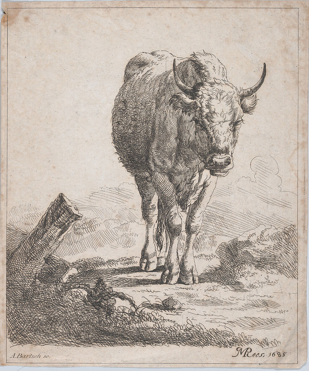 A cow, seen from the front, Adam von Bartsch (Austrian, Vienna 1757–1821 Vienna), Etching; third state of three (Rieger) 