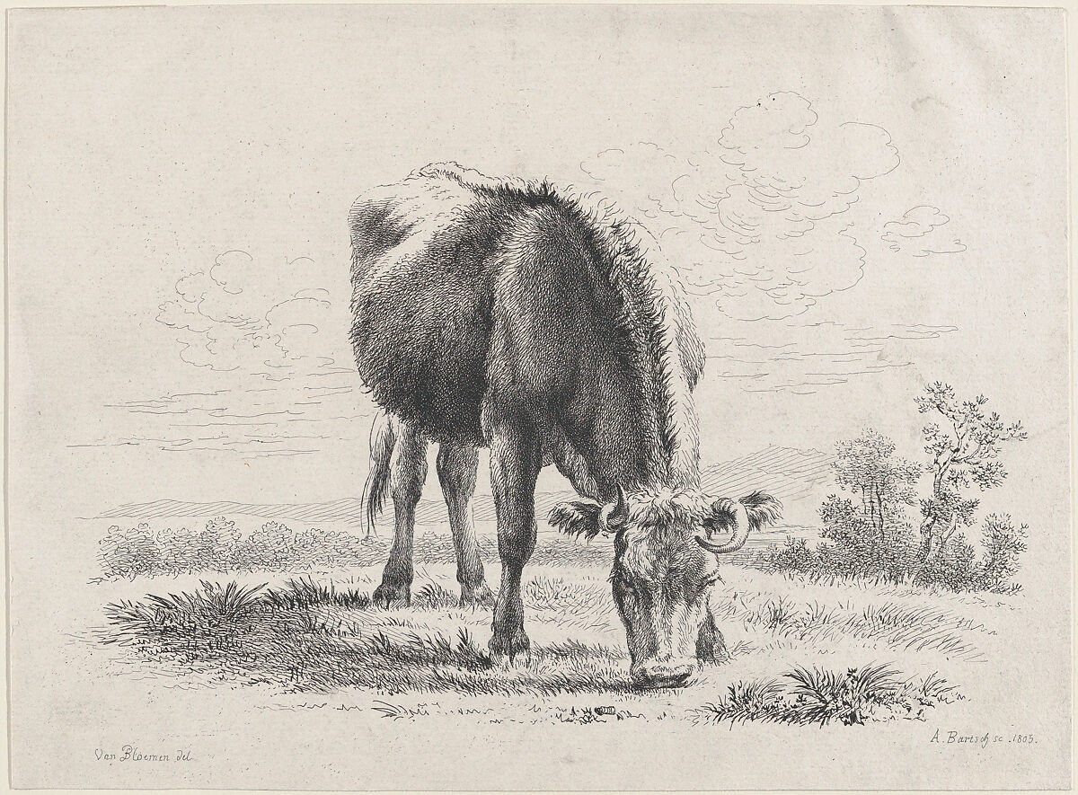 Cow grazing, Adam von Bartsch (Austrian, Vienna 1757–1821 Vienna), Etching and engraving 