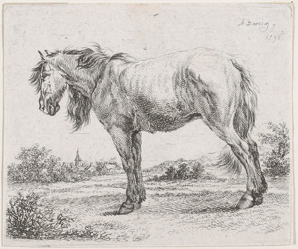 Horse standing on a meadow in profile to left, Adam von Bartsch (Austrian, Vienna 1757–1821 Vienna), Etching; second state of two (Rieger) 