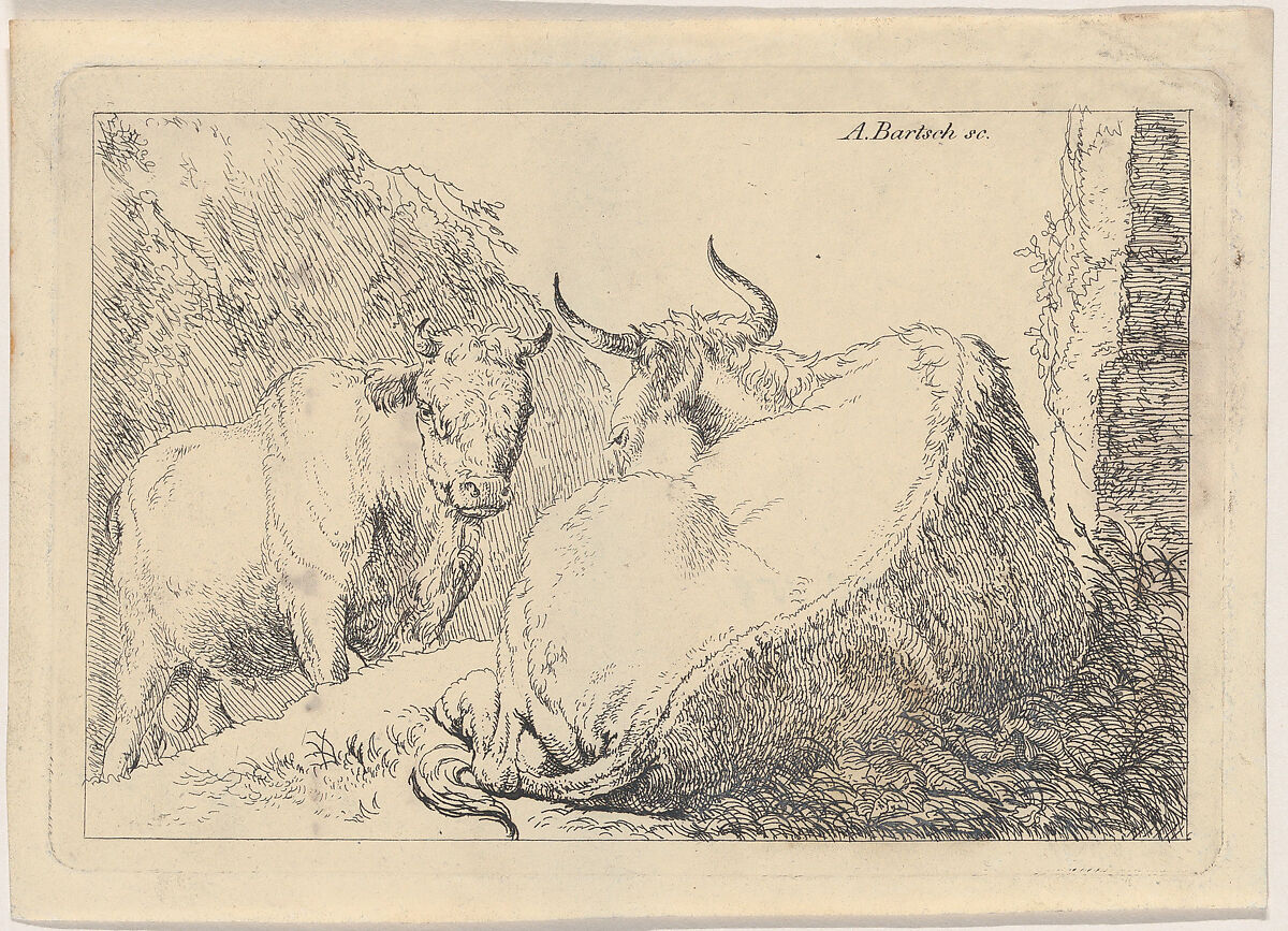 A reclining cow, seen from behind, Adam von Bartsch (Austrian, Vienna 1757–1821 Vienna), Etching; third state of three 