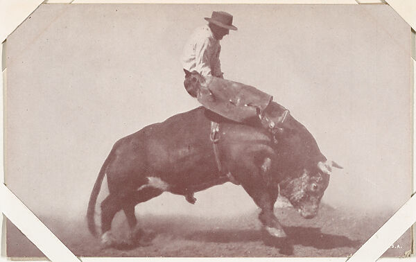 Cowboy in chaps riding bull from Indians and Western Historical Scenes series (W417), Commercial color photolithograph 