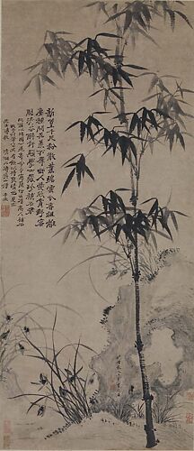 Orchids, Bamboo, and Rocks