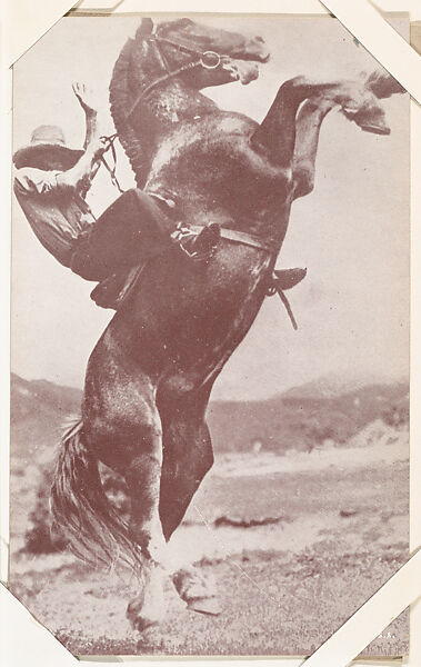 cowboy on rearing horse drawing