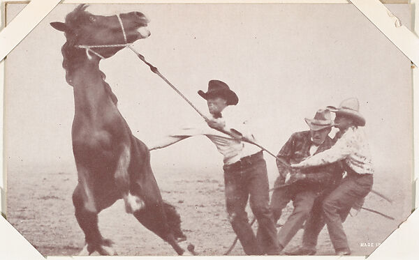 Cowboys wrangling horse from Indians and Western Historical Scenes series (W417), Commercial color photolithograph 