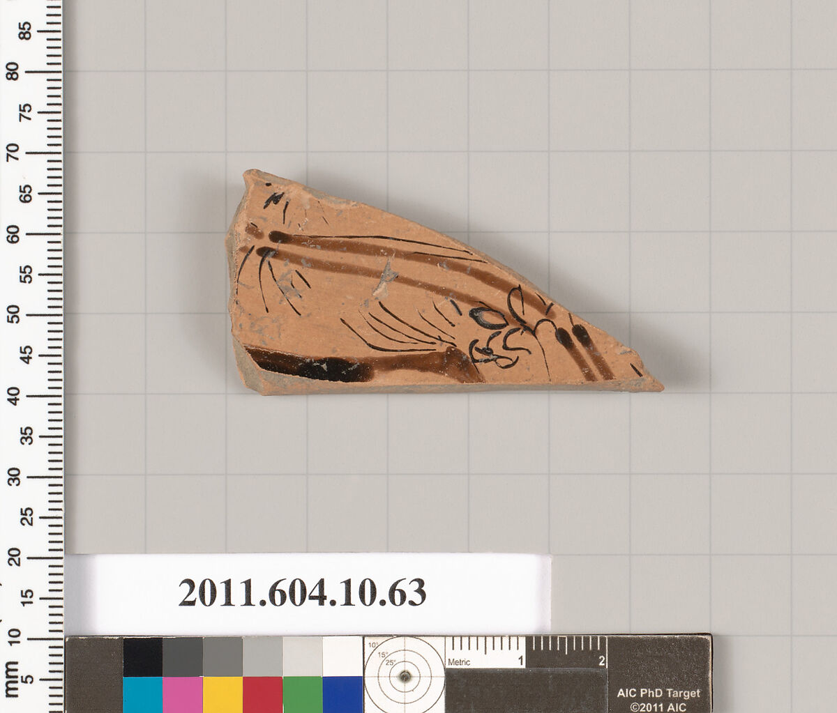Terracotta fragment of a kylix (drinking cup), Terracotta, Etruscan