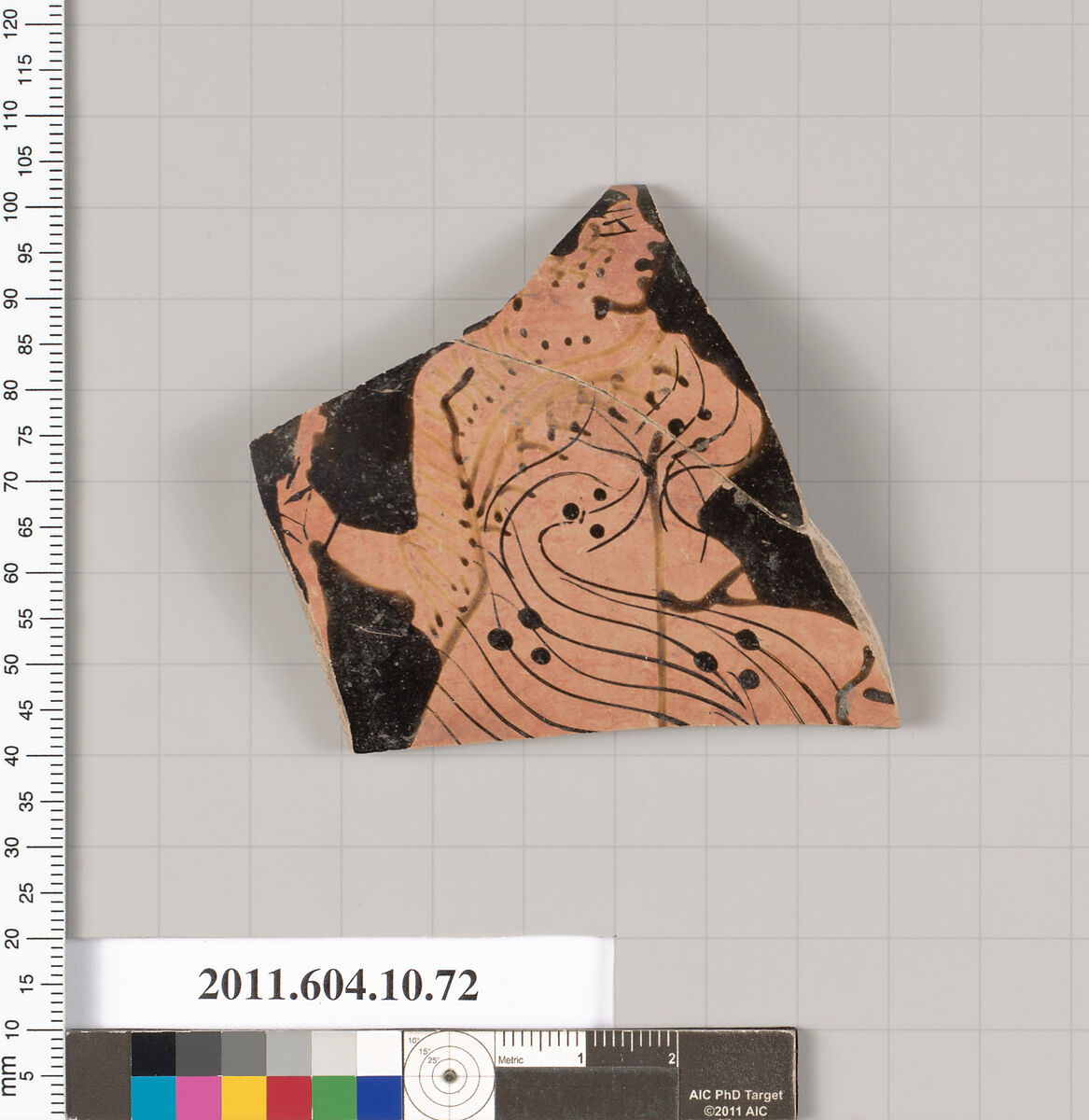 Terracotta fragment of a kylix (drinking cup), Terracotta, Etruscan