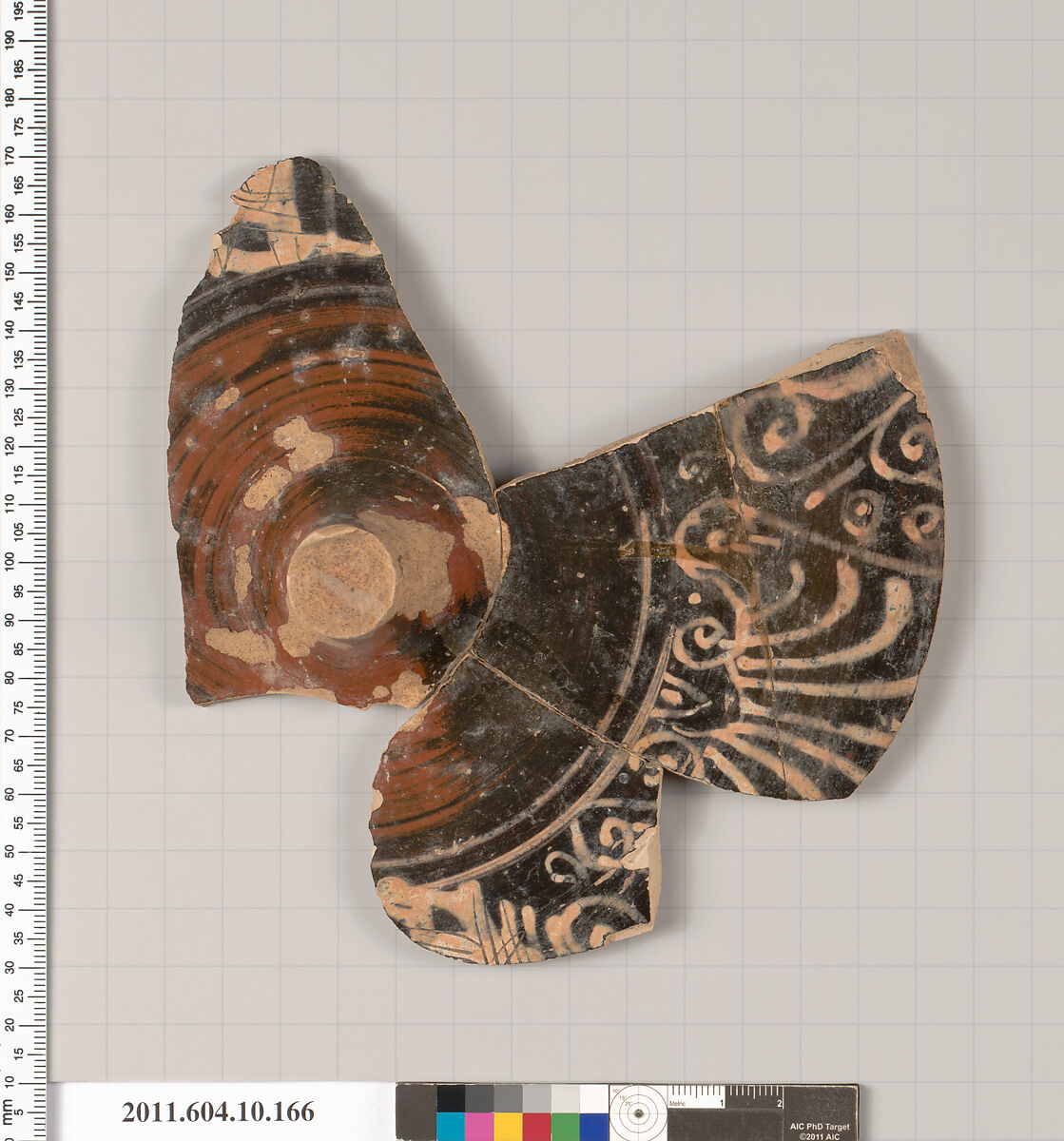 Terracotta fragment of a kylix (drinking cup), Terracotta, Etruscan