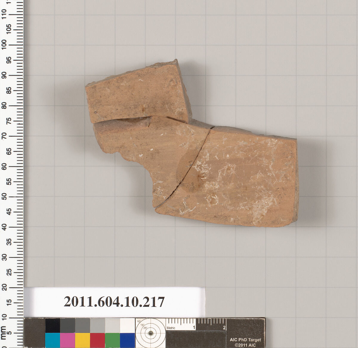 Terracotta fragment of an amphora (jar)?, Terracotta, Etruscan