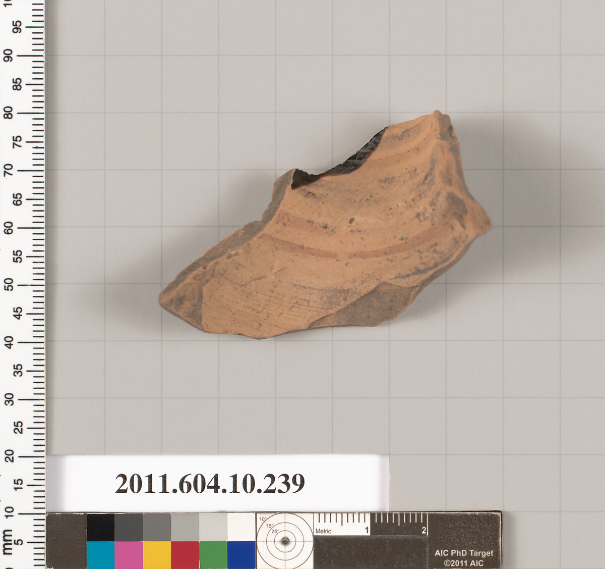 Terracotta fragment of an oinochoe (jug), Terracotta, Etruscan 
