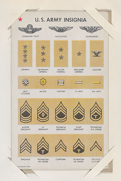 Us military insignia 