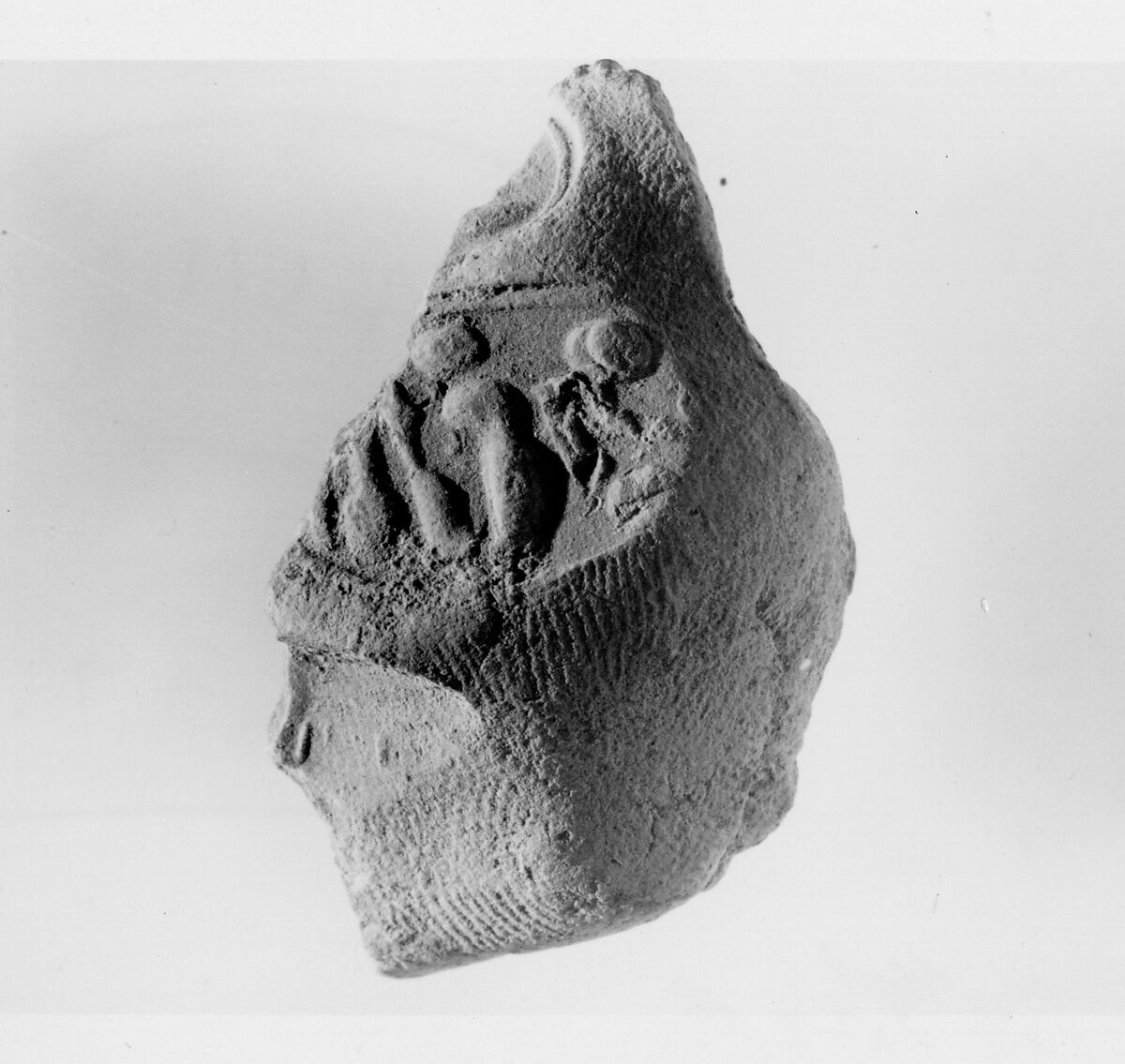 Document Sealing With the Throne Name of Amenhotep III, Mud 