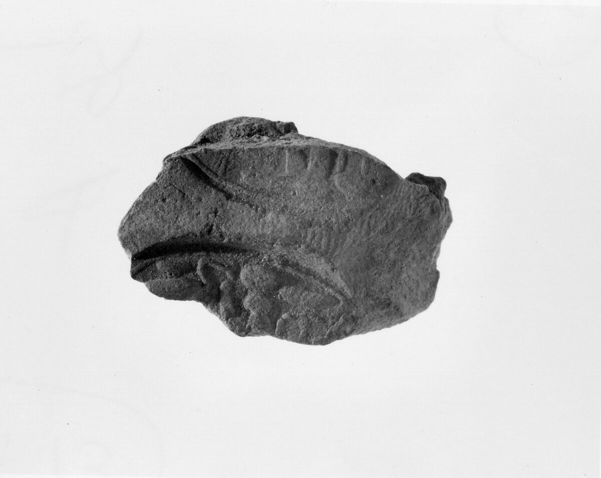 Document Sealing With the Throne Name of Amenhotep III, Mud 
