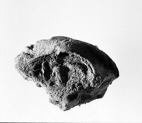 Document Sealing With the Throne Name of Amenhotep III, Mud 