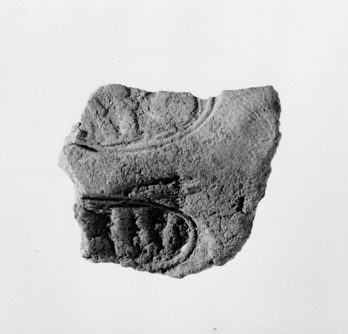 Document Sealing With the Throne Name of Amenhotep III, Mud 