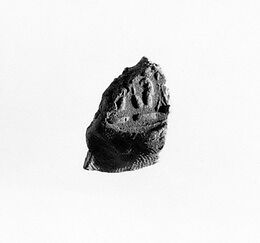 Document Sealing With the Throne Name of Amenhotep III, Mud 