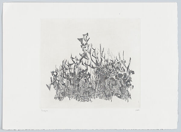 Snärje II (Thicket), Janne Dahl (Swedish, Limnesforsen 1924–2006), Etching 