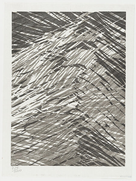 Seaseeing, from "Precarious Balance", Valgerður Bergsdóttir (Icelandic, born 1943), Linocut on mulberry paper 