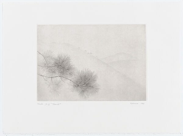 Pine Branch (Tallkvist)