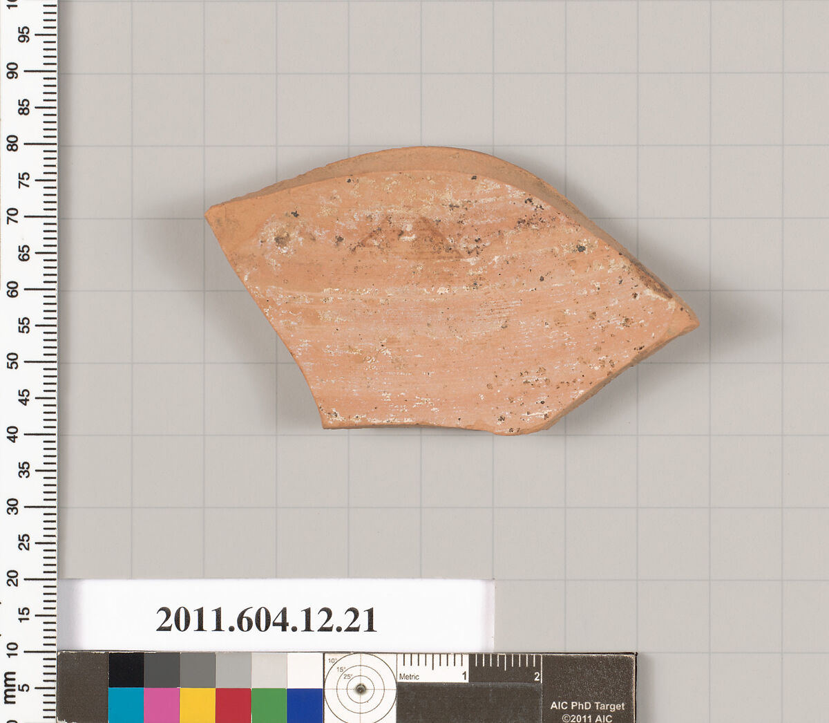 Terracotta fragment of an oinochoe (jug), Terracotta, Greek, South Italian, Apulian