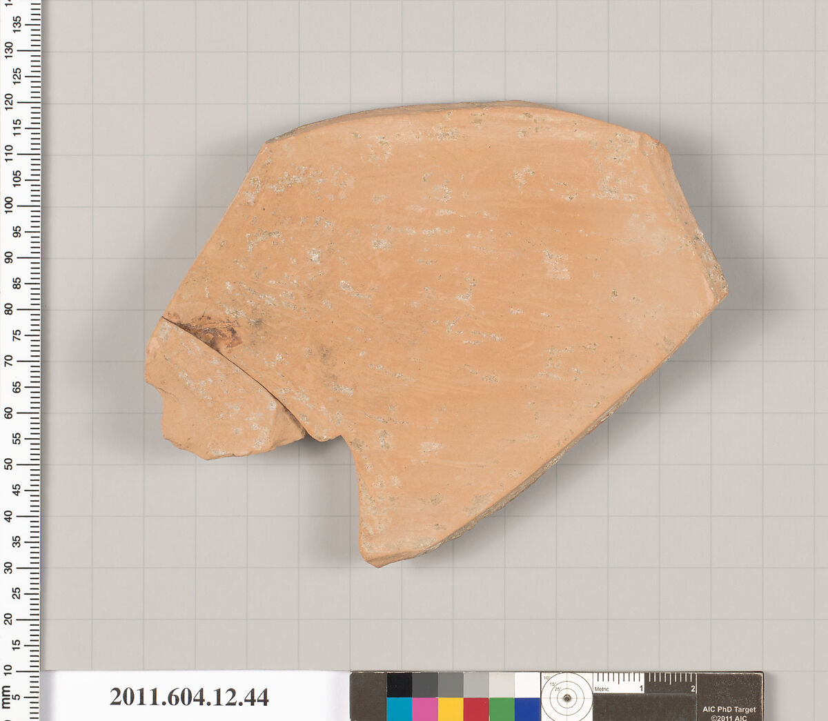 Terracotta fragment of a closed shape, Terracotta, Greek, South Italian, Lucanian