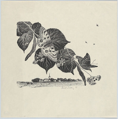 Butterflies on a branch, from 