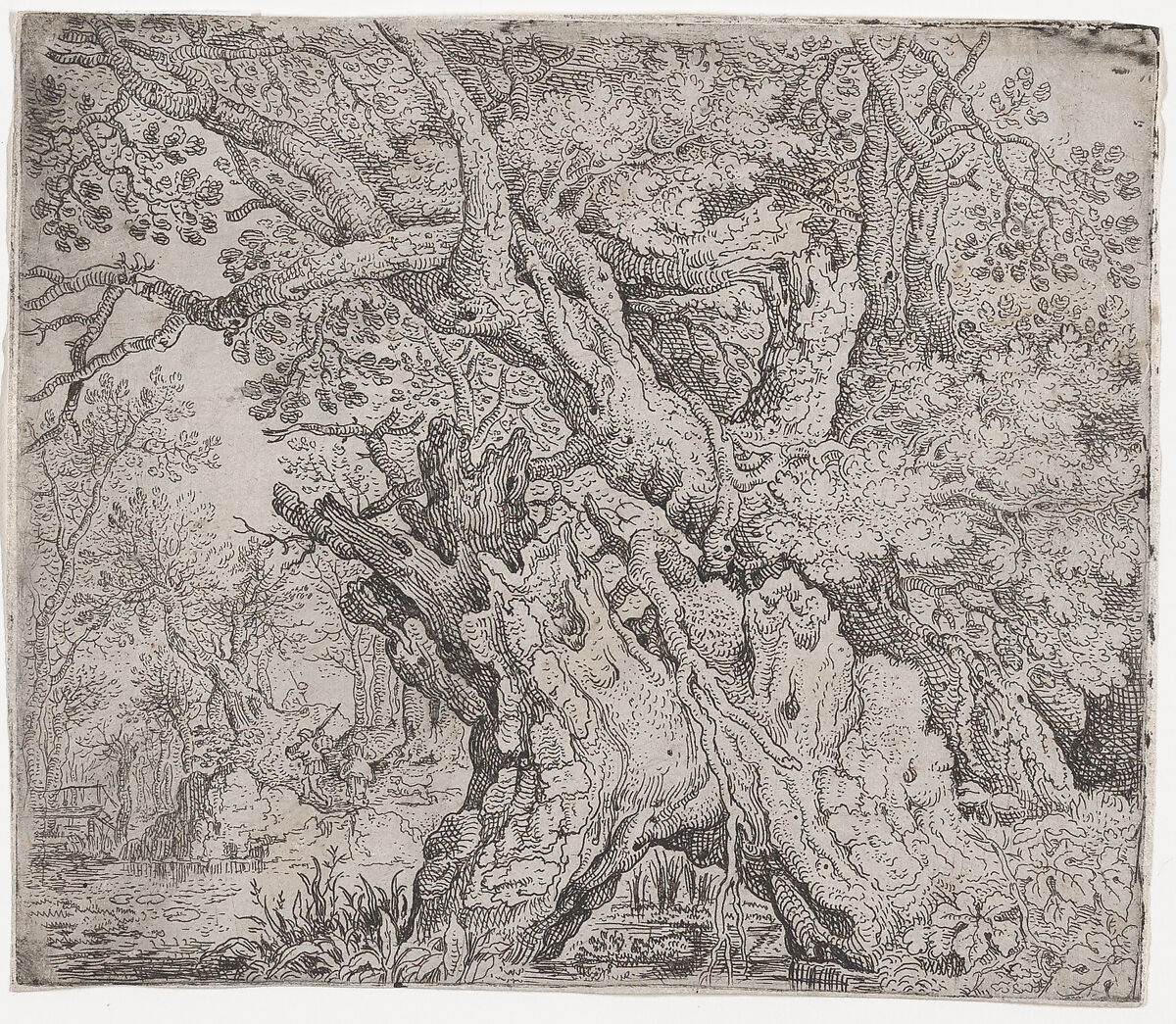 Gnarled Tree, Roelandt Savery (Flemish, Kortrijk 1576–1639 Utrecht), Etching; first state of two 
