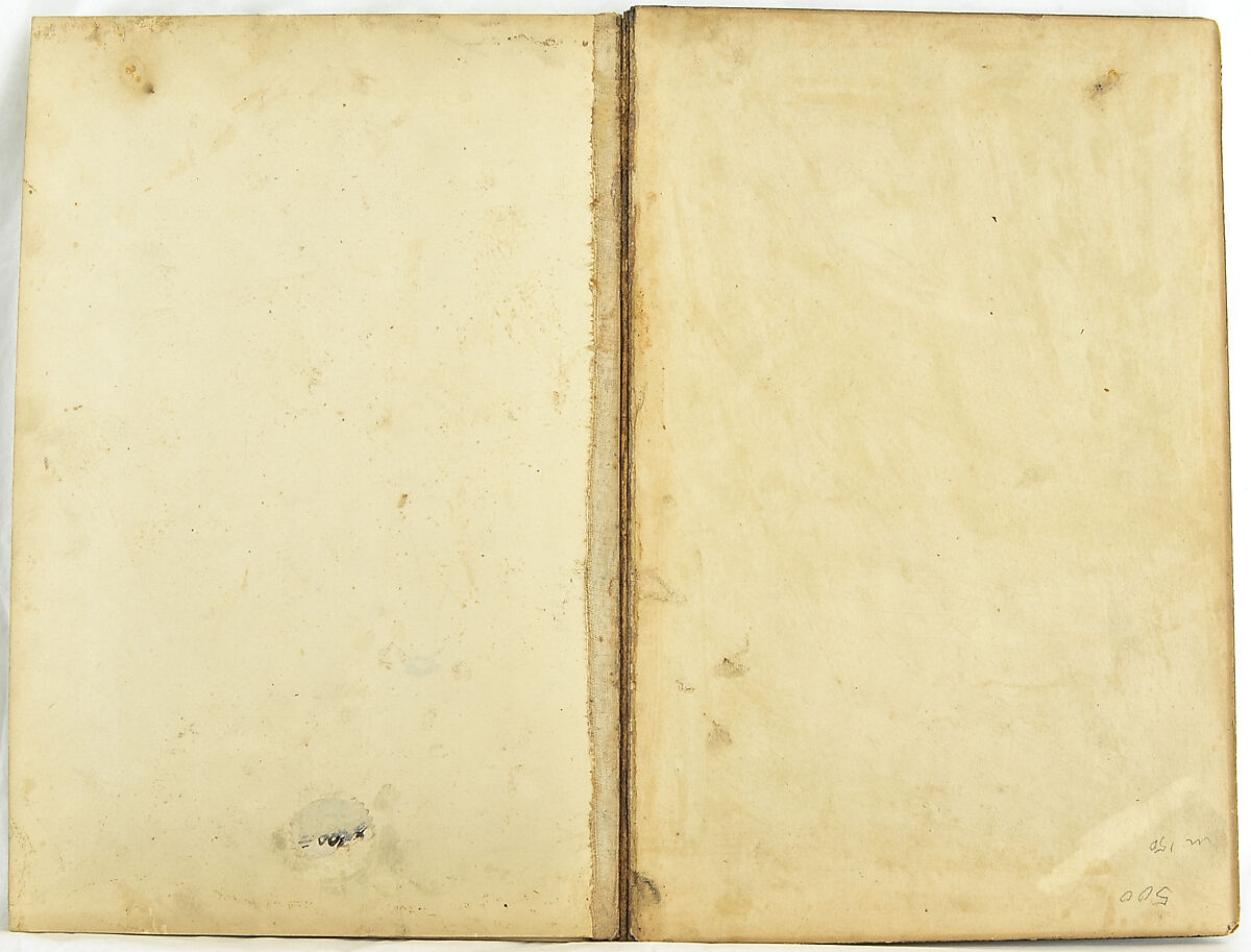 Album of Flower Paintings, Fathallah Shirazi (Iranian, active 1850s–80s), Ink on paper