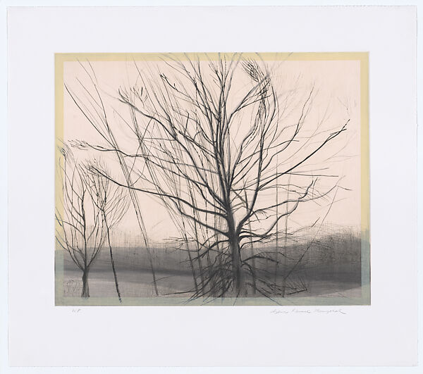 The Pin Oak at the Pond, Sylvia Plimack Mangold (American, born New York, 1938), Color drypoint, aquatint and spitbite on T.E.
Edmond's Handmade hot-pressed paper 