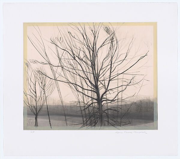 The Pin Oak at the Pond, Sylvia Plimack Mangold (American, born New York, 1938), Color drypoint, aquatint and spitbite on T.E.
Edmond's Handmade hot-pressed paper 