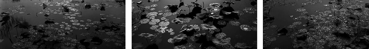 Yuanming Yuan, Beijing, China (Waterdrop Lotus Triptych), Lois Conner (American, born New York, 1951), Pigment ink prints 