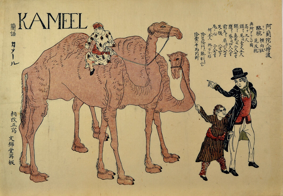 Camels with Dutch Handlers, Unidentified artist Japanese, 19th century, Woodblock print; ink and stencil-printed color on paper; horizontal ō-ōban, Japan 