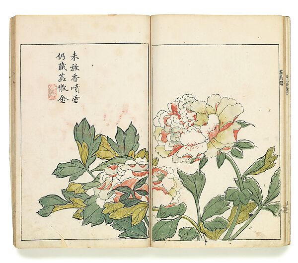 Two Peonies, Leaf from the Japanese edition of the Mustard Seed Garden Painting Manual, vol. 1 of 6, After Wang Gai (Chinese, 1645–1710), Woodblock print; ink and color on paper, Japan 