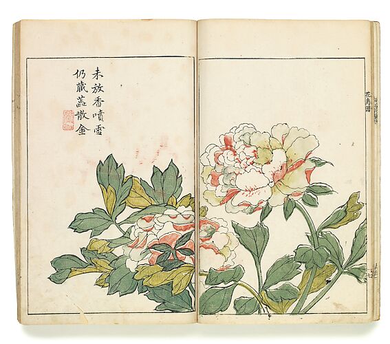 Two Peonies, Leaf from the Japanese edition of the Mustard Seed Garden Painting Manual, vol. 1 of 6

