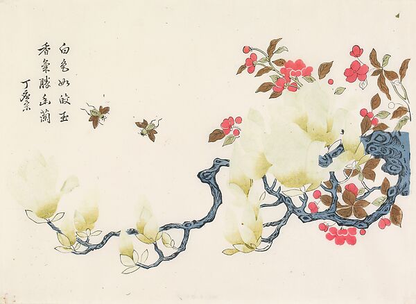 Magnolia and Bees, Ding Yingzong (Chinese, active ca. 1700–1750), Woodblock print; ink and color on blind-pressed paper , China 
