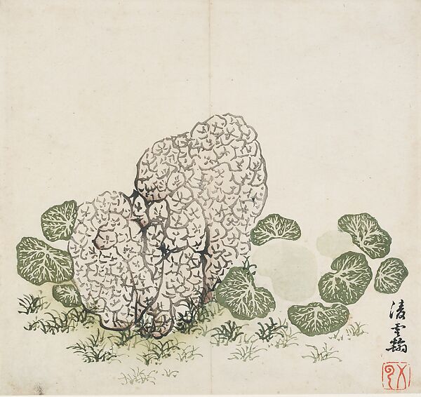 Lichened Stone and Plants, after Ling Yunhan (active second half of the 14th century), Leaf from the Ten Bamboo Studio Collection of Calligraphy and Painting, Ling Yunhan (Chinese, active second half of the 14th century), Woodblock print; ink and color on paper, China 