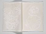 What is White, Michele Oka Doner (American, born Miami Beach, Florida, 1945), Letterpress, handmade paper, wax cover