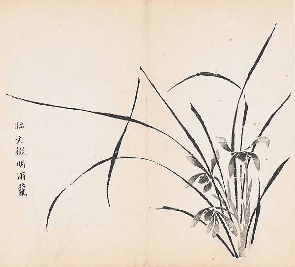 Orchids in Rain, after Wen Zhengming, Leaf from the Ten Bamboo Studio Collection of Calligraphy and Painting, vol. 2, After Wen Zhengming (Chinese, 1470–1559), Woodblock print; black ink on paper, China 