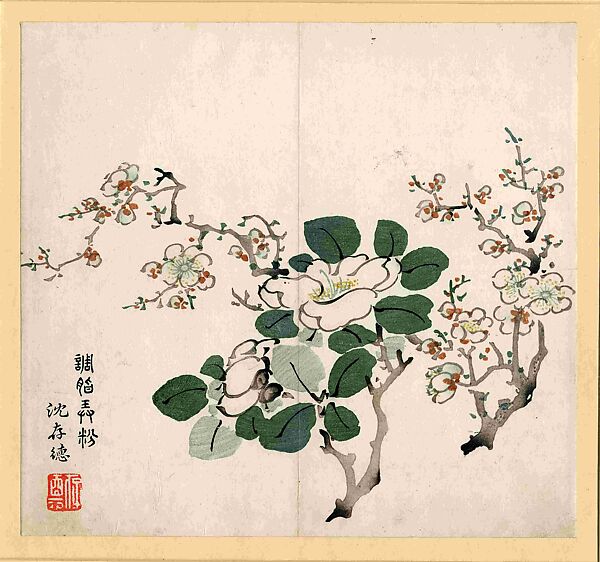 Branch with White Blossoms, after Shen Cunde (ca. 1573–ca. 1644), Leaf from the Ten Bamboo Studio Collection of Calligraphy and Painting, After Shen Cunde (Chinese (ca. 1573–ca. 1644)), Woodblock print; ink and color on paper, China 