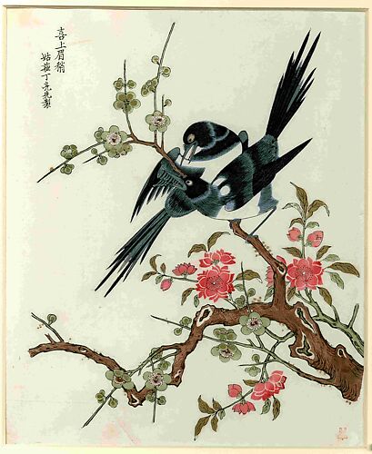 Magpies and Prunus