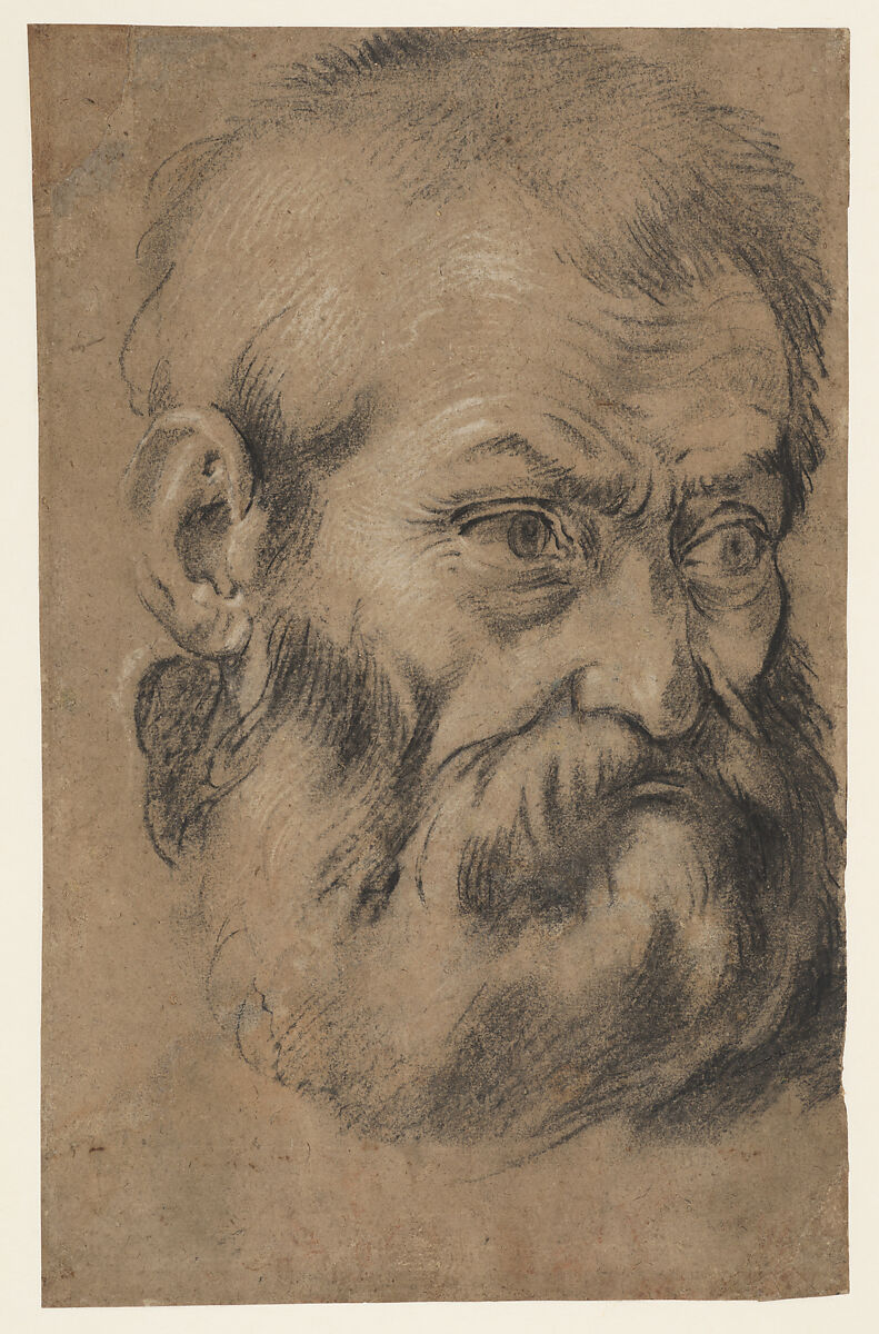Head of beared man (recto), Study of an apostle (verso), Giacomo Cavedone (Italian, Sassuolo 1577–1660 Bologna), Black chalk (or charcoal?) and highlighted with traces of white chalk on brown paper 