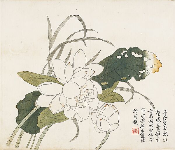 Lotus Flowers, Leaf from the Mustard Seed Garden Painting Manual, part 3, After Zhang Lu (Chinese, active early 18th century), Woodblock print; ink and color on paper, China 