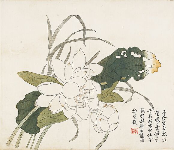 Lotus Flowers, Leaf from the Mustard Seed Garden Painting Manual, part 3

