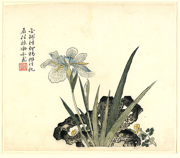 Iris and Rock, from 
Mustard Seed Garden Manual of Painting, Part 3, Woodblock print; ink and color on paper, China 