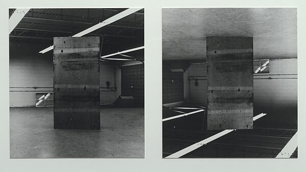Inverted Plywood, William Wegman (American, born 1943), Gelatin silver prints 