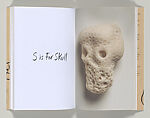 Intuitive Alphabet, Michele Oka Doner (American, born Miami Beach, Florida, 1945), artist's book