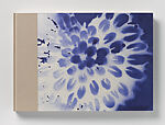 Workbook, Michele Oka Doner (American, born Miami Beach, Florida, 1945), Artist's book