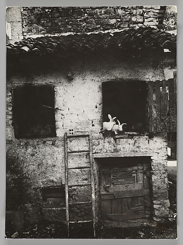 Rustico, Astrio di Breno